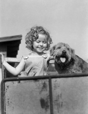 Shirley Temple Poster G311361