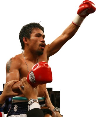 Manny Pacquiao puzzle G313856