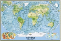 World Map Longsleeve T-shirt #689564
