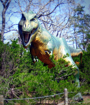 Dinosaur Poster G316700