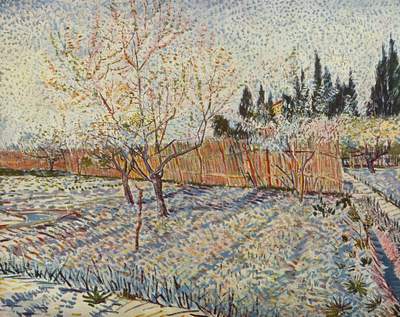 Van Gogh puzzle G317043