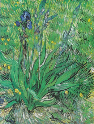 Van Gogh Poster G317051