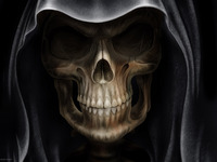 Skull hoodie #713238