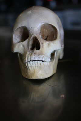 Skull mug #G318126