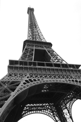 Eiffel Tower wooden framed poster