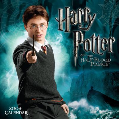 Harry Potter Poster G322149