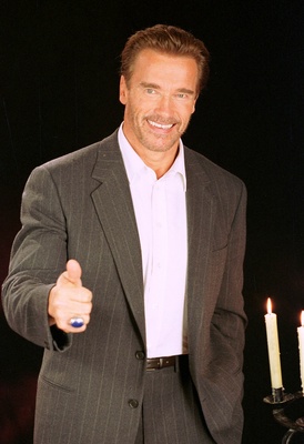 Arnold Schwarzenegger Poster G322258