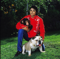 Michael Jackson t-shirt #737169