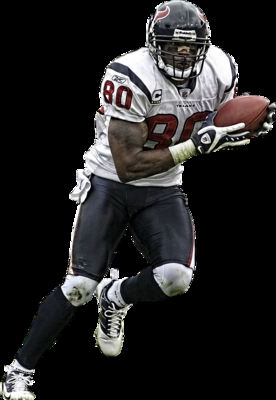Andre Johnson Stickers G327127