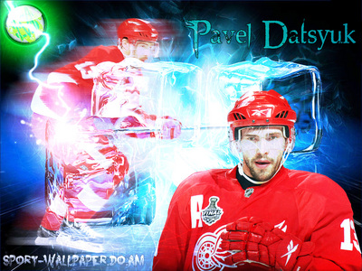 Pavel Datsyuk canvas poster
