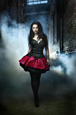 Amy Lee & Evanescence Promos metal framed poster