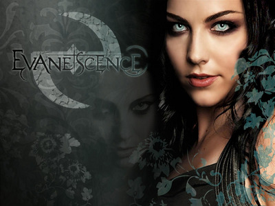 Amy Lee & Evanescence Promos metal framed poster