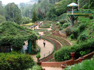Botanical Gardens tote bag
