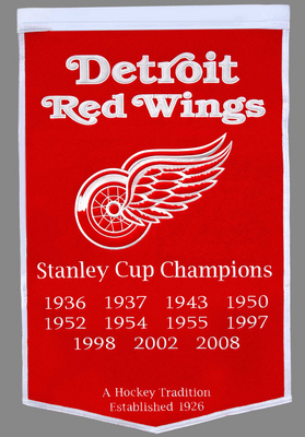 Detroit Red Wings pillow