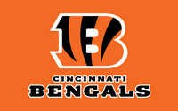 Cincinnati Bengals hoodie #753928