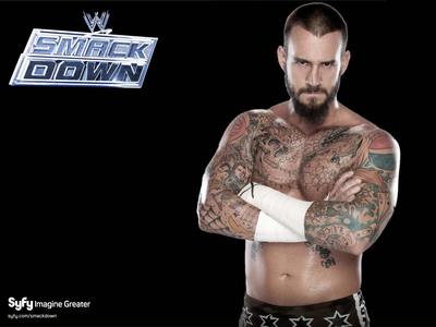 CM Punk poster with hanger