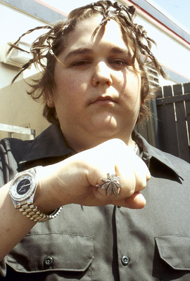Andy Milonakis poster