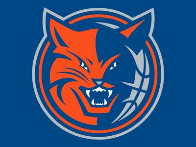 Charlotte Bobcats poster