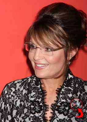 Sarah Palin pillow