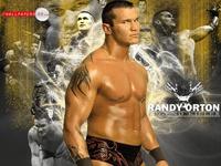 Randy Orton mug #G336612
