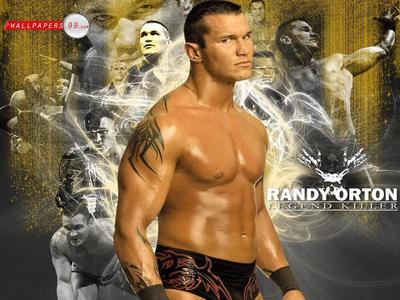 Randy Orton canvas poster