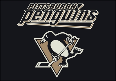Pittsburgh Penguins wooden framed poster