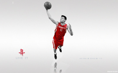 Houston Rockets canvas poster