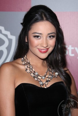 Shay Mitchell puzzle G338833