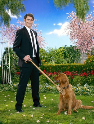 Pushing Daisies poster with hanger