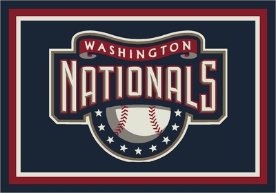 Washington Nationals metal framed poster