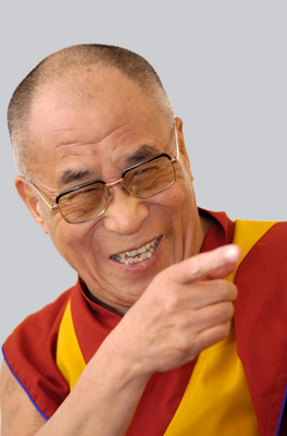 Dalai Lama metal framed poster