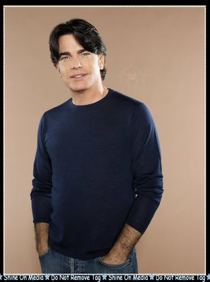 Peter Gallagher poster