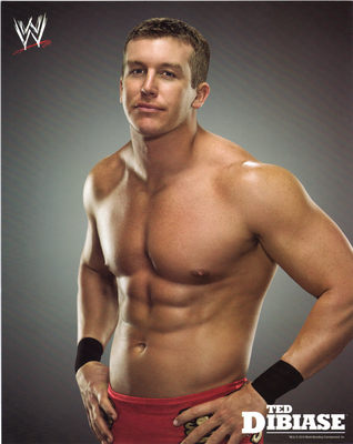 Ted Dibiase canvas poster