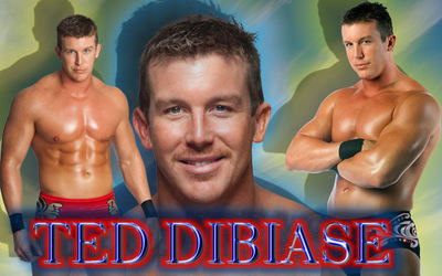 Ted Dibiase mouse pad