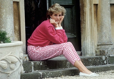 Princess Diana poster with hanger