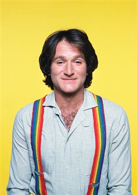 Robin Williams wooden framed poster