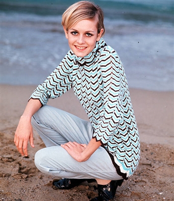 Twiggy wooden framed poster