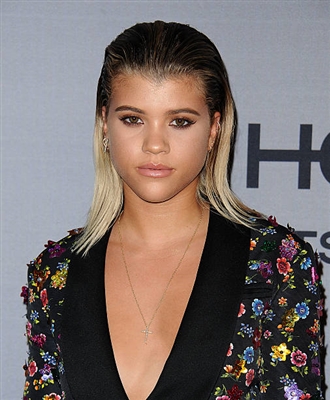 Sofia Richie wooden framed poster
