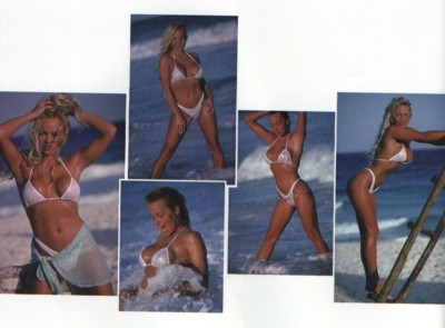 Pamela Anderson Stickers G35548