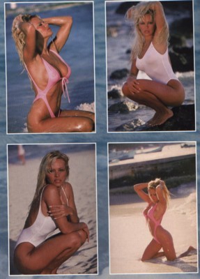 Pamela Anderson Stickers G35559