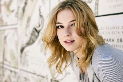 Emily VanCamp poster with hanger