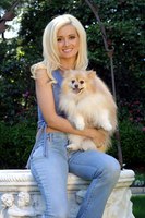 Holly Madison Tank Top #861232
