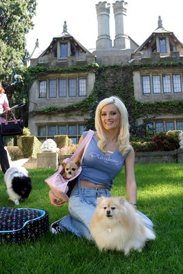 Holly Madison Poster G435071