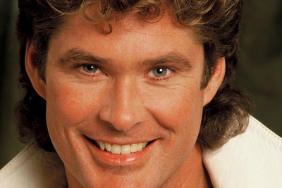 David Hasselhoff wood print