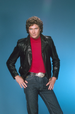 David Hasselhoff canvas poster