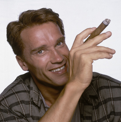 Arnold Schwarzenegger Poster G442885
