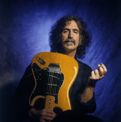 Frank Zappa metal framed poster