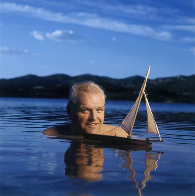 Brian Dennehy canvas poster