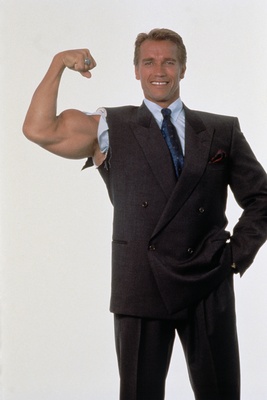 Arnold Schwarzenegger Poster G446993