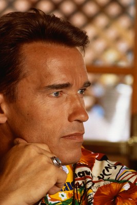 Arnold Schwarzenegger Stickers G456841